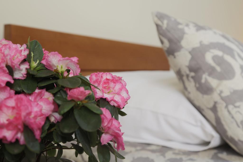 Accommodation Tara Belgrade Luaran gambar